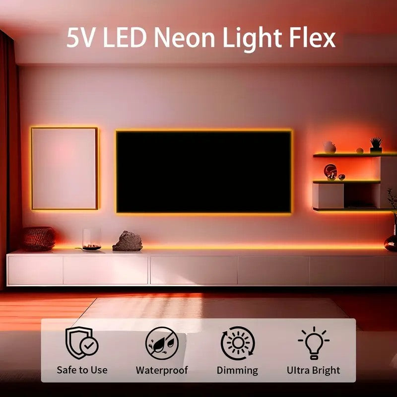 Tira de neón Flex naranja DC12V, 120LEDs/M, cuerda neón Flexible naranja , luz de neón impermeable, 5M para decoración del hogar+ eliminador de 2 AMP