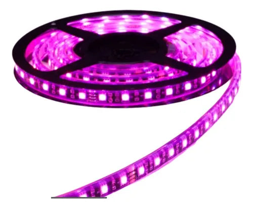 Tira led 5050  con recubrimiento color rosa
